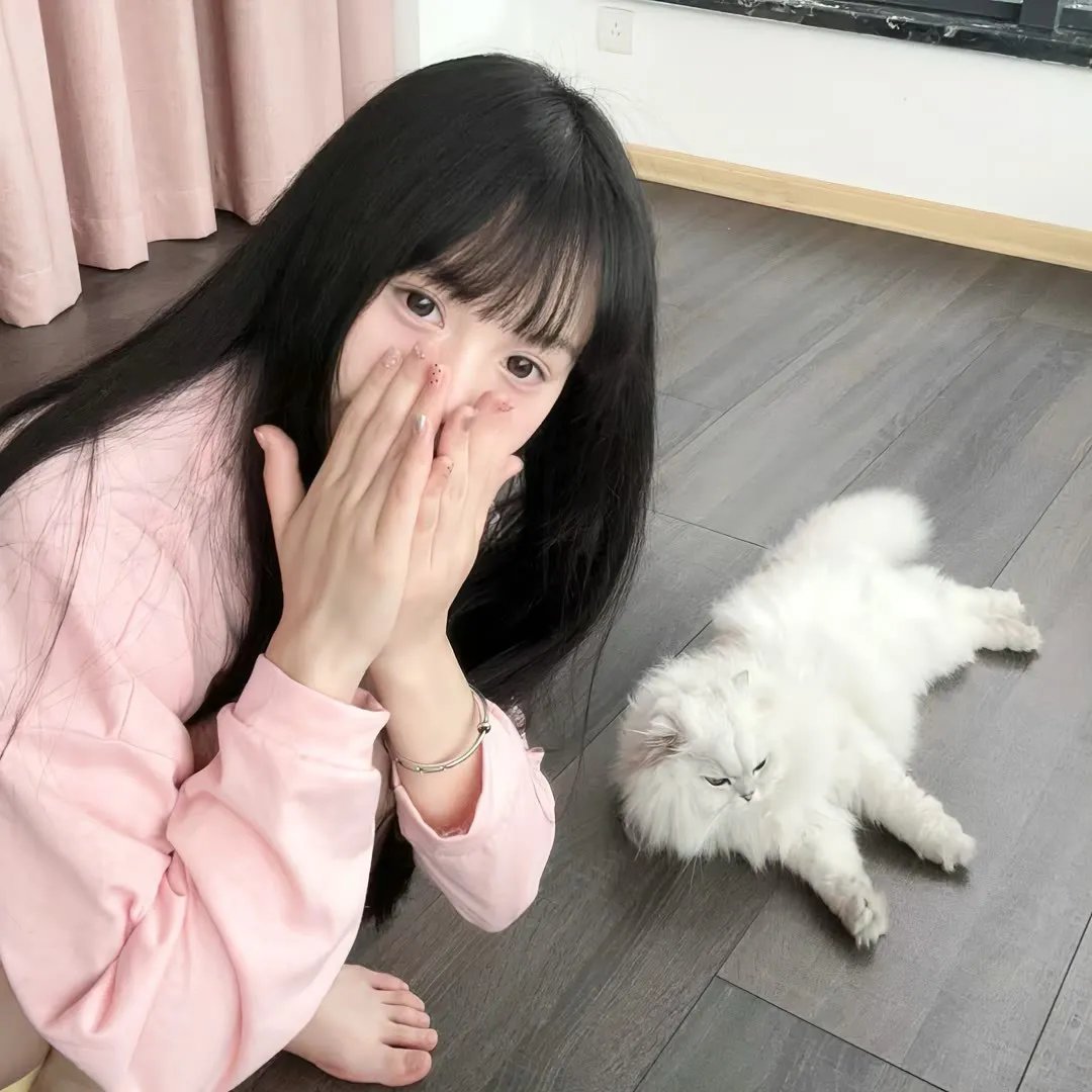 百战天龙第二季